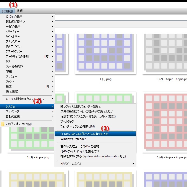 Quad File Explorer で Microsoft Defender のフォルダー アクセスを有効にするにはどうすればよいですか
